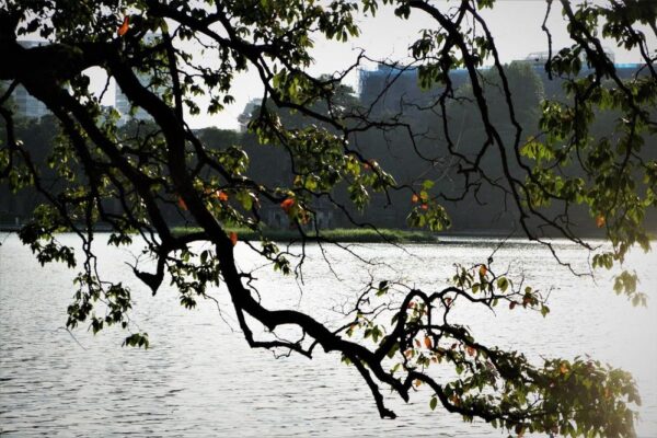 Hanoi Winter Tour: Explore Hanoi’s Cold Season